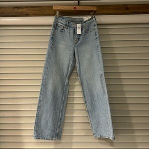 AE ‘90s Wide Leg Jeans (Ice blue)